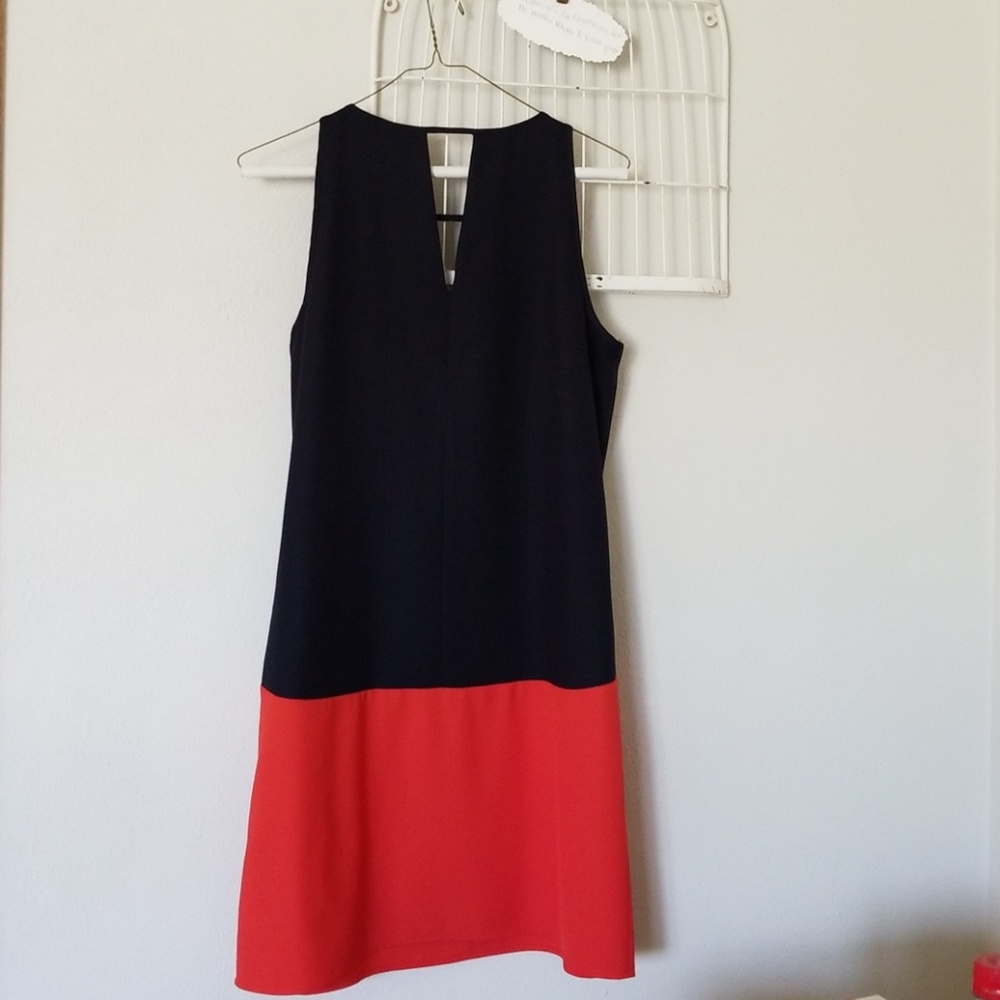 THML Dress - Picture 4 of 4